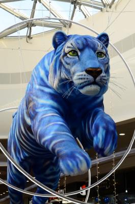 Прикрепленное изображение: DSC_1053_.JPG